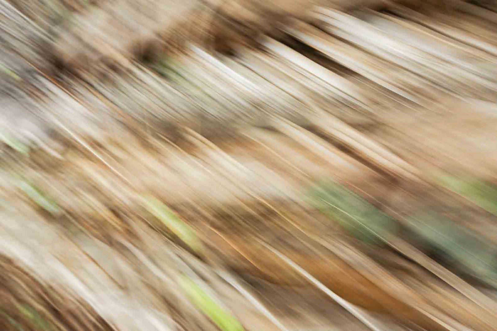 art abstracto horizontal