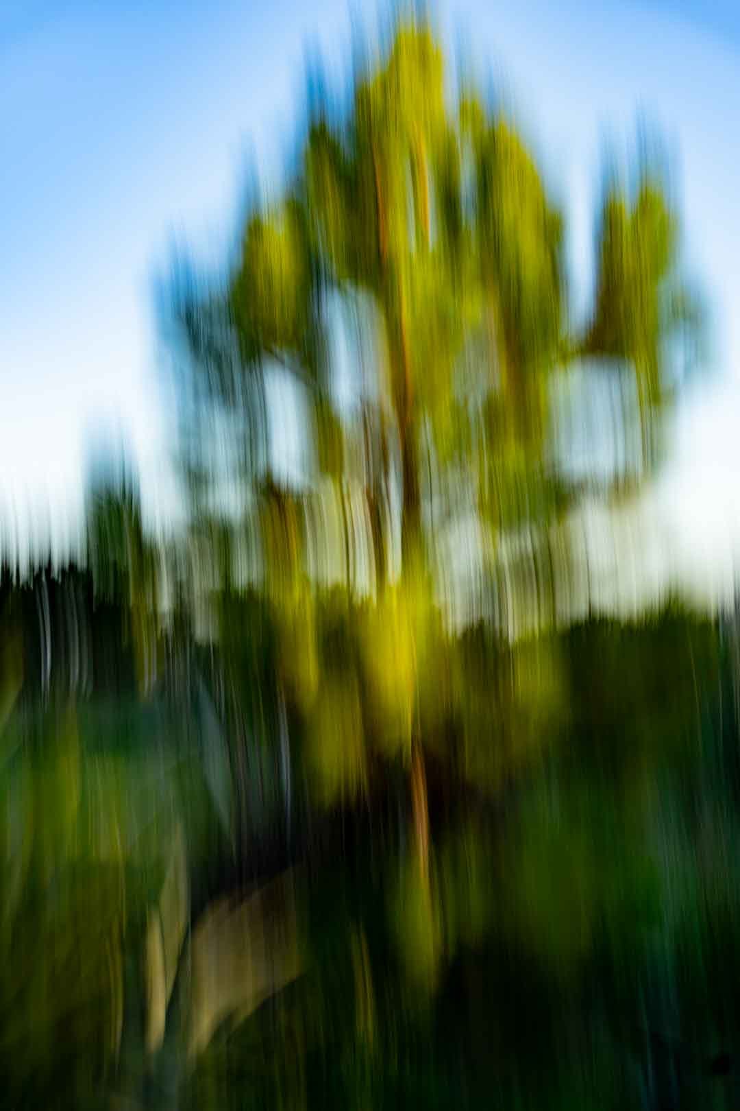 art abstracto vertical