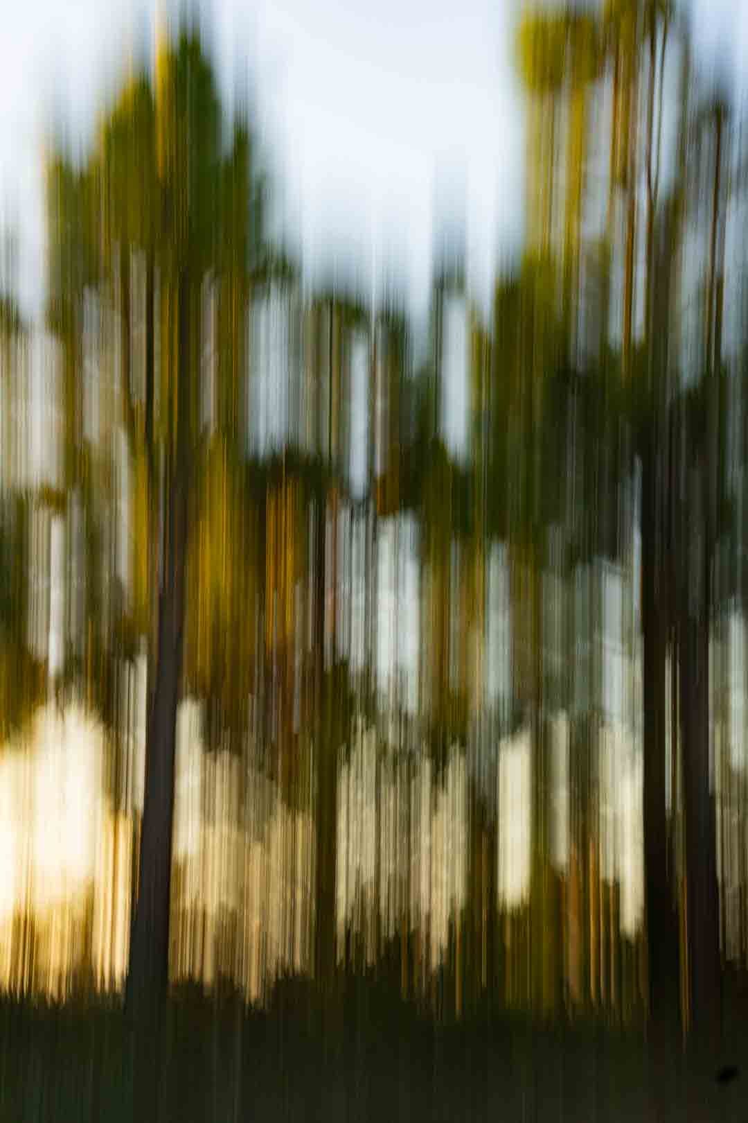 art abstracto vertical