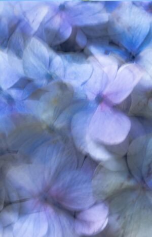 Quietud en movimiento