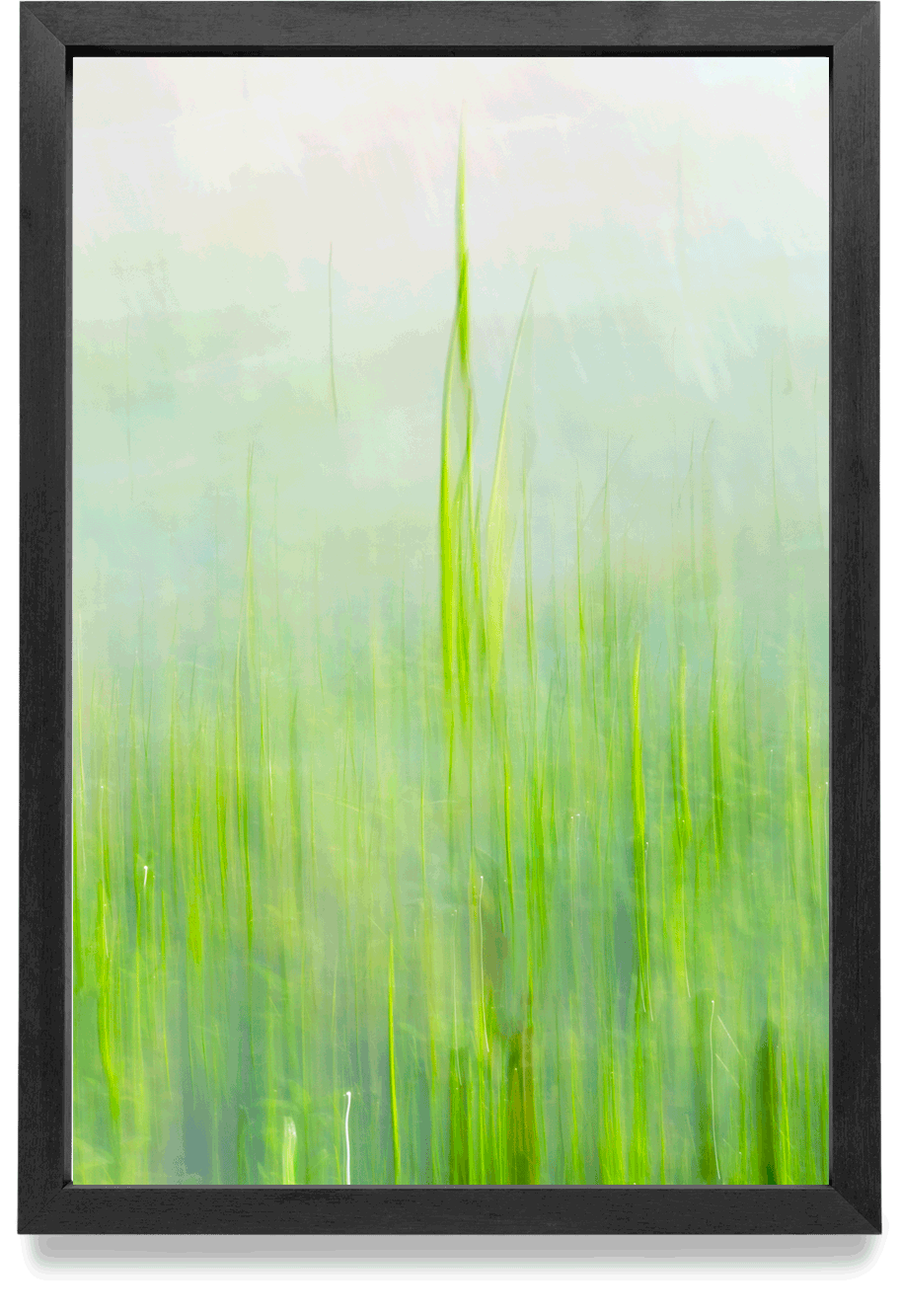 Silencio vertical