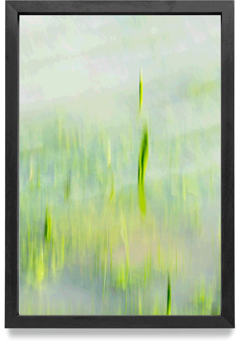 Verde-quietud
